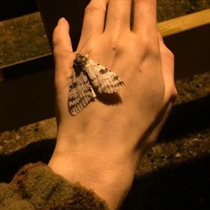 Meet your Posher, Cora